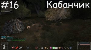 S.T.A.L.K.E.R. ОП 2.2 Спасаем кабанчика #16.