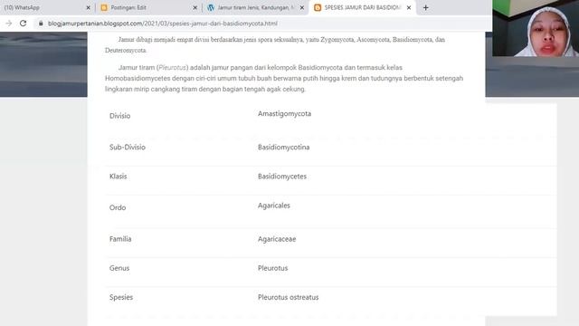 Jamur Tiram (Pleuretus sp) basidiomycota смотреть онлайн