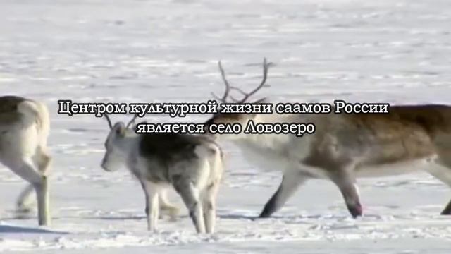 Промо к Читальнику смотреть онлайн