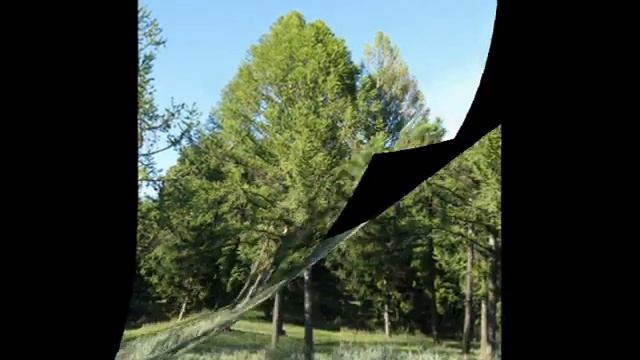 Харьков, Октябрьский гидропарк, сентябрь 2012 смотреть онлайн