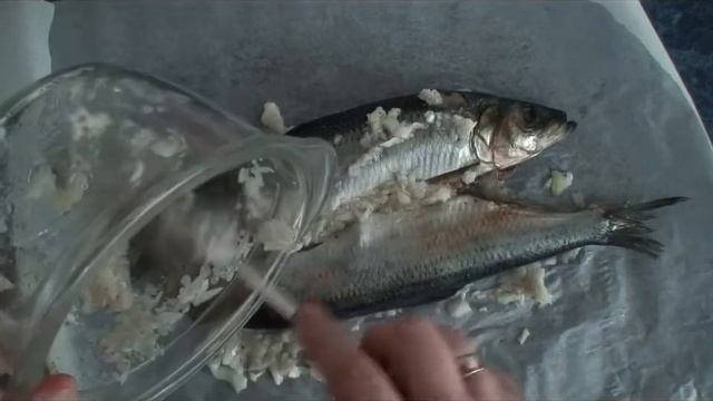 Музыкальная Студия