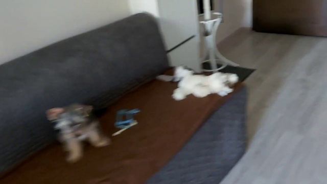 ПОДАРОК К РОЖДЕСТВУ🎁 И БЕДНЫЙ МОЙ БОНЕЧКА💖 смотреть онлайн