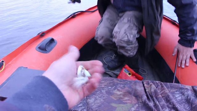 Обзор спиннингов друзей и безынерционных катушек 2. Major Craft неплох смотреть онлайн