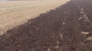 Пашем. плуг Пску-5. 3 метра захват.  Т 150 .