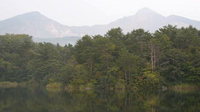 The Silver Swan Gibbons panflute 白銀の白鳥 Susumu Otsuka смотреть онлайн