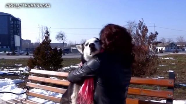 Страсти с волками смотреть онлайн