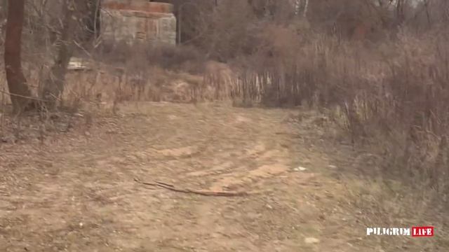 Куда поехать на выходные! Сосновая горка, Зеленковский карьер. Красивые мосты подмосковья. смотреть онлайн