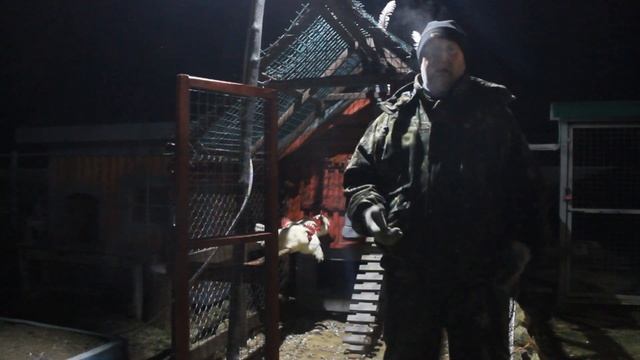 Как правильно поить кур несушек зимой. смотреть онлайн