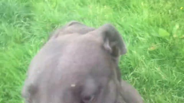 Boris Flying xxx смотреть онлайн