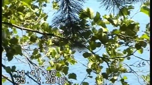 ОЗЕРО ДИВО 2015 смотреть онлайн