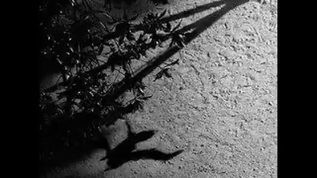 Max Richter - The Trees смотреть онлайн