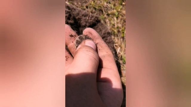 Коп на селище 
