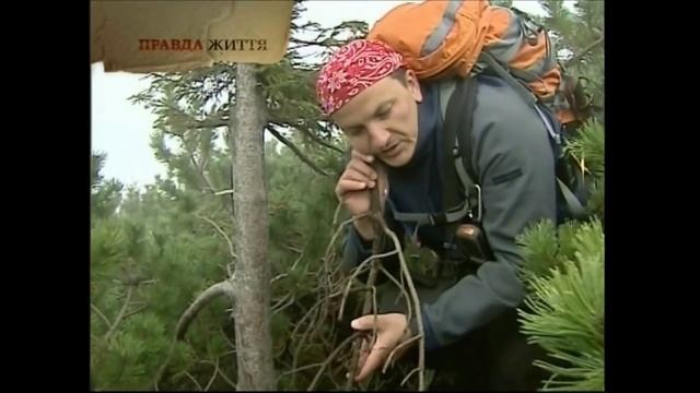 Как я выжил в лавине смотреть онлайн