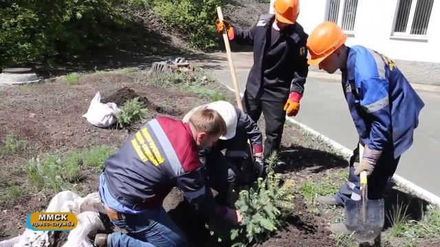 Голубые ели на ММСК смотреть онлайн