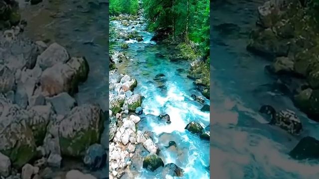 Мзымта - самая длинная река, впадающая в Черное море в России. Протяженность ее 89 километров! смотреть онлайн