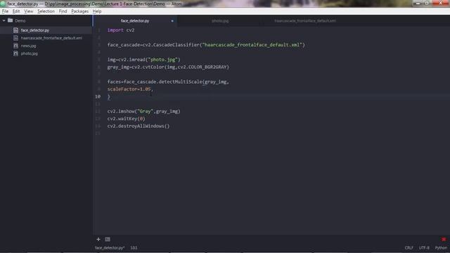 How to detect face in python. смотреть онлайн