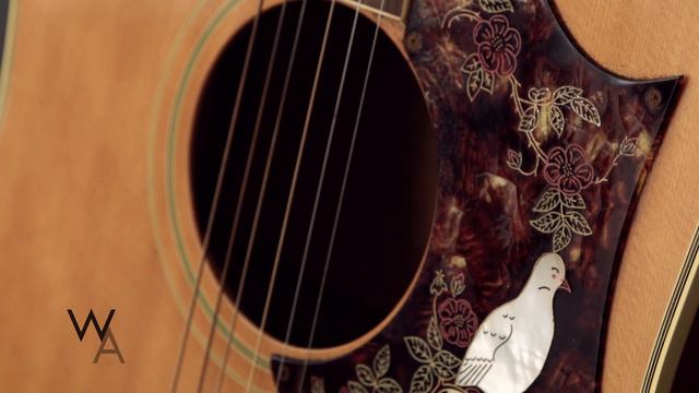 1968 GIBSON DOVE смотреть онлайн