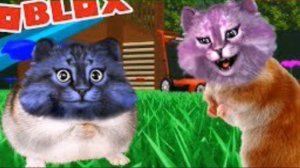 Кот леонард и Кошка лана история дружбы и .......