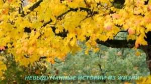 ?ТАИНСТВЕННЫЙ СТАРИК?Истории из жизни?Аудио рассказ?Жизненные истории