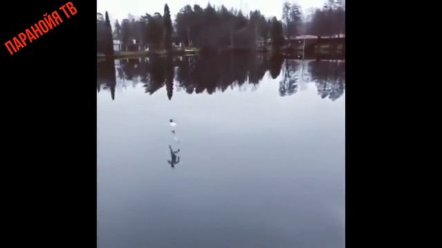 Я РЖАЛ ЦЕЛЫЙ ЧАС ! МЕГА УГАРНОЕ ВИДЕО!НОВАЯ ПОДБОРКА смотреть онлайн
