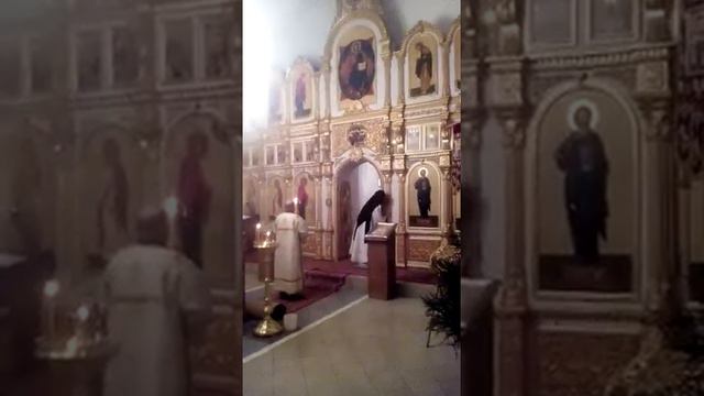 Крещение Господне в Устах 2020 смотреть онлайн