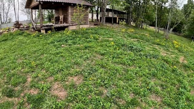 ПРУД НА УЧАСТКЕ ! НАЧАЛО ! смотреть онлайн