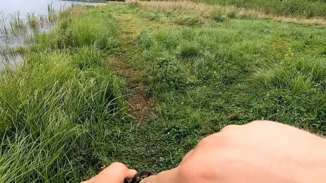 Как наловить садок карася на бесплатном озере. Сода плюс лимонная кислота секрет успешной ловли. смотреть онлайн
