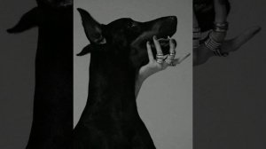 ~Песня~Эй девчонка,в.16-м ряду~