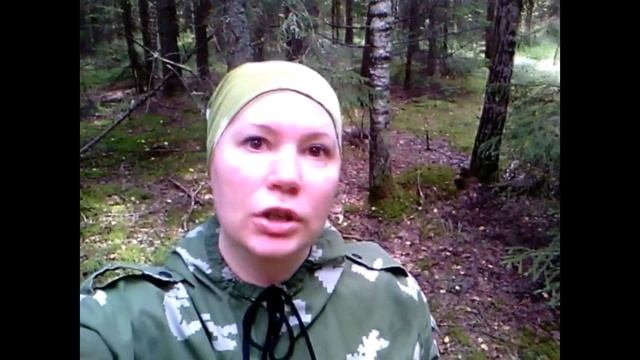 МОРЕ ЛИСИЧЕК! ЗАБЛУДИЛАСЬ. ГРИБНОЕ БЕЗУМИЕ! смотреть онлайн