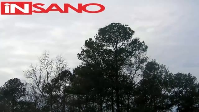 Злые птицы атакуют США. Angry birds attack. Apocalypsis in USA смотреть онлайн