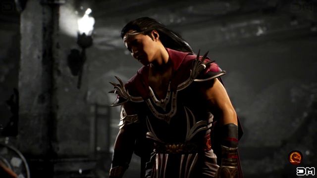 Mortal Kombat 1 All Fatalities on Shang Tsung with Random Skins смотреть онлайн