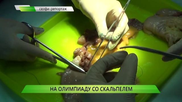 На олимпиаду со скальпелем смотреть онлайн