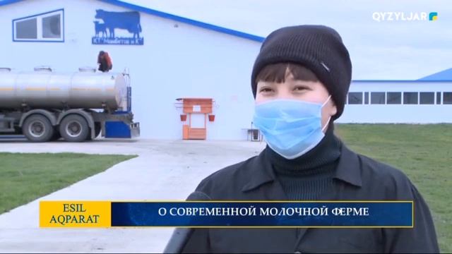 О СОВРЕМЕННОЙ МОЛОЧНОЙ ФЕРМЕ смотреть онлайн