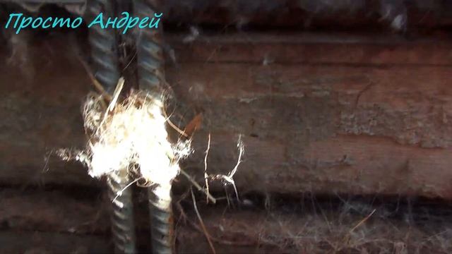 НУТРИИ КЛЕТКИ С ДОМИКОМ И БЕЗ В ЧЕМ РАЗНИЦА смотреть онлайн