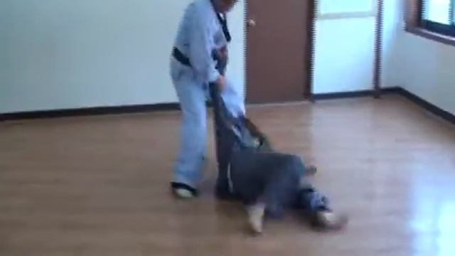 KTHF, GM Kim Chil Yong. ГМ Ким Чиль Ён 9 дан. (видео 14) смотреть онлайн