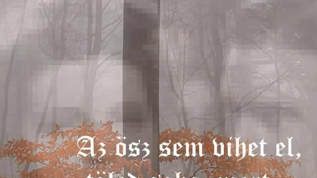Karády Katalin A nyár sodort feléd смотреть онлайн