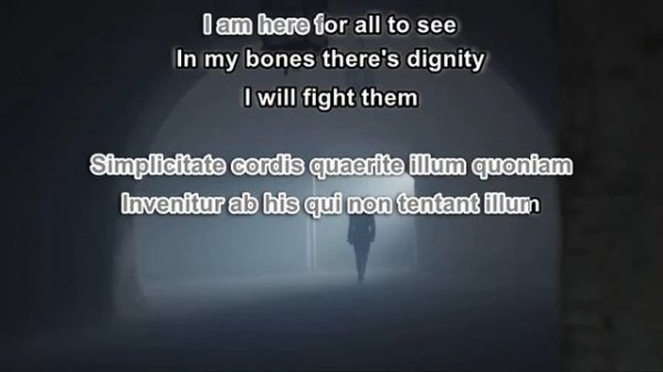 Paolo Buonvino & Skin - Reneissance (Karaoke)