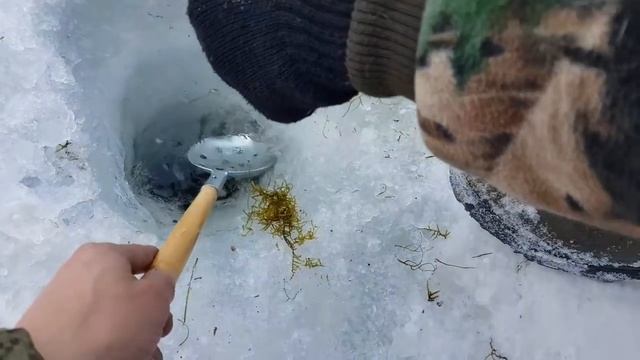 МАНОМА 22.03.2018 Рыбалка на горной реке смотреть онлайн