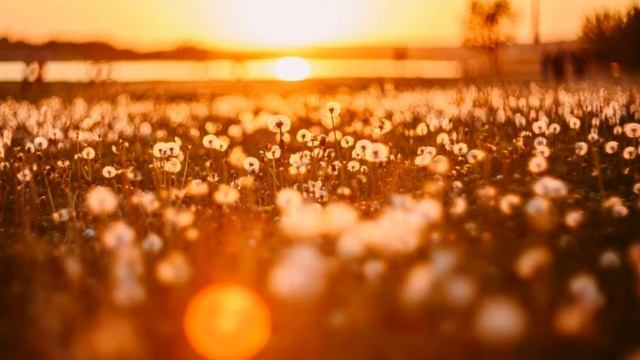 Что самое важное в жизни? смотреть онлайн