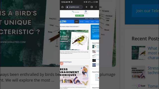 Canva pro team link 2023 | canva pro free lifetime 2023 смотреть онлайн