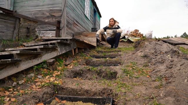 Высаживание сотен луковиц тюльпана | Правила посадки и составления композиций смотреть онлайн