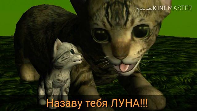 ||коты воители|¦ луна 2 чясть)) теперь её завут луна смотреть онлайн