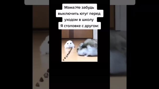 когда забыл выключить утюг #утюг #мемы смотреть онлайн