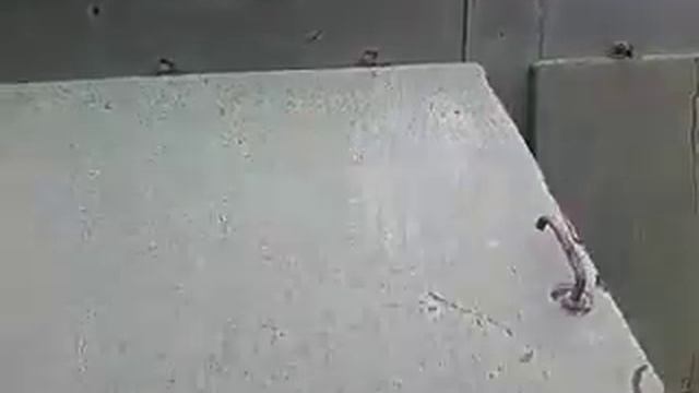 ДЭС В КОЖУХЕ смотреть онлайн