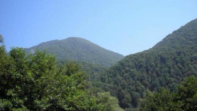 Лазаревское