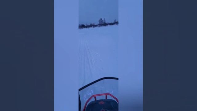 Еще один IKUDZO HUNTER 650. смотреть онлайн