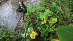 Гнем ноги или прогулка по реке Конги