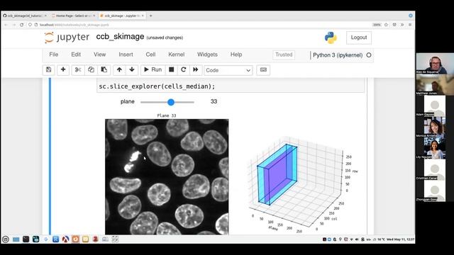 UC Berkley CCB Skills Seminar 05/11/22: "Introduction to scikit-image for 3D image analysis" смотреть онлайн