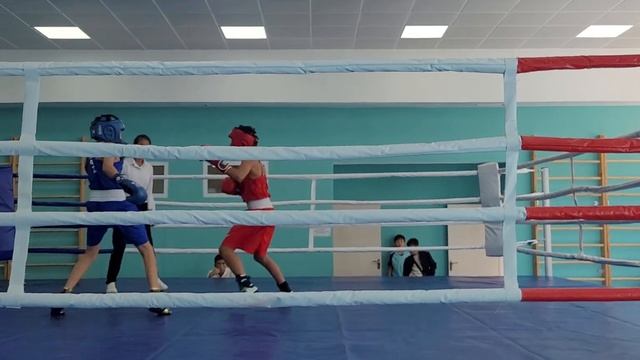 Арнай бокс 40кг 2 кун утылдым Балпық би смотреть онлайн