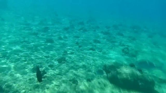 Пляж часть 2, Albatros Aqua Park 5, Sharm El Sheikh, Египет 15.11.19г